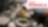 Huiles Moteur pour l’Agriculture – Shell Rimula