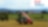 Un chariot télescopique agricole rouge soulève une grosse balle de foin ronde dans un champ.