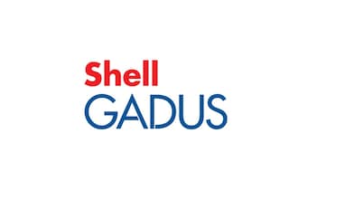 Graisses Shell Gadus