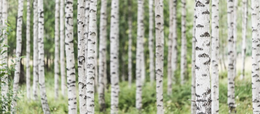 Notre gamme de produits