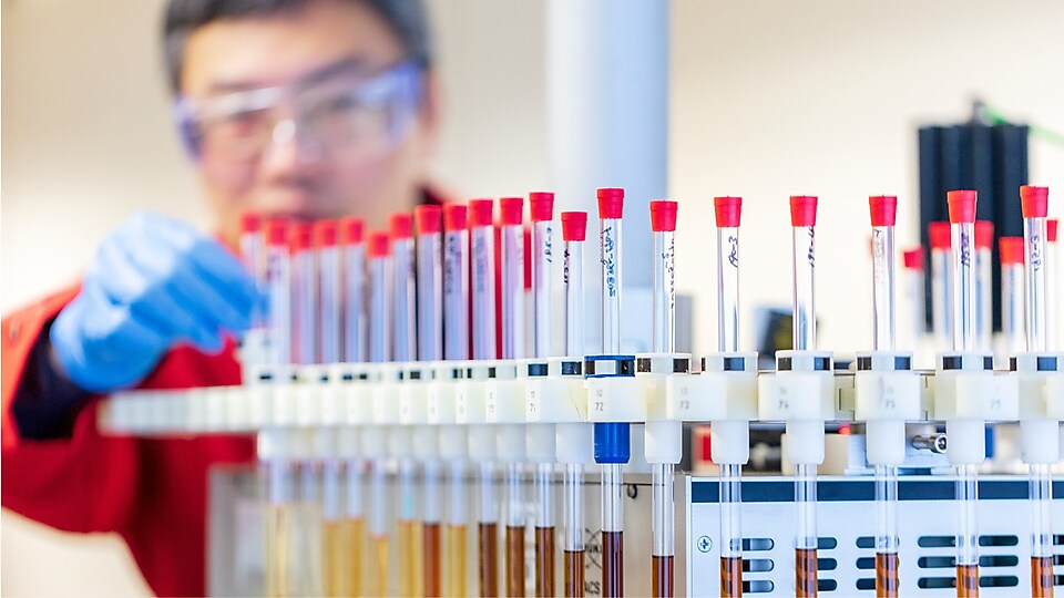 Man, in red lab coat and blue gloves handles test tubes containing fluid samples in laboratory setting.