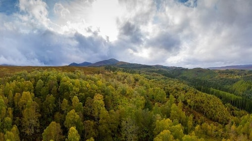 Nouvelles énergies pour professionnels