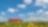 Een rode vrachtwagen in een bloemenveld met blauwe lucht met wolken