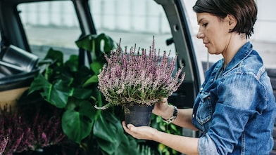 women using her phone