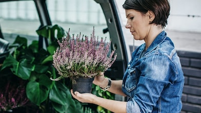 women using her phone