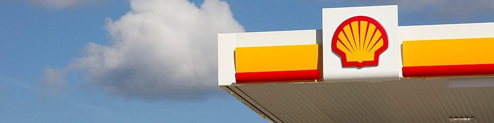 Logo avec coquillage pecten de Shell sur le site marchand