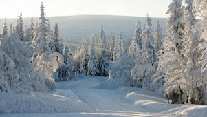 Une route enneigée en forêt