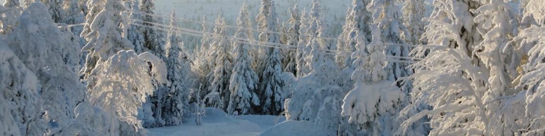 Une route enneigée en forêt
