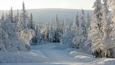 Une route enneigée en forêt