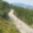 Trois motos qui font la course le long d'une route de montagne bordée d'arbres