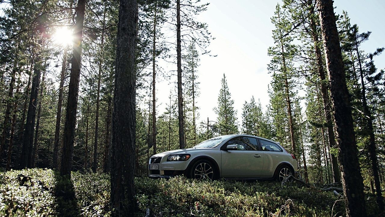 Voiture sur une route en forêt