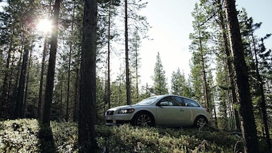 Voiture sur une route en forêt