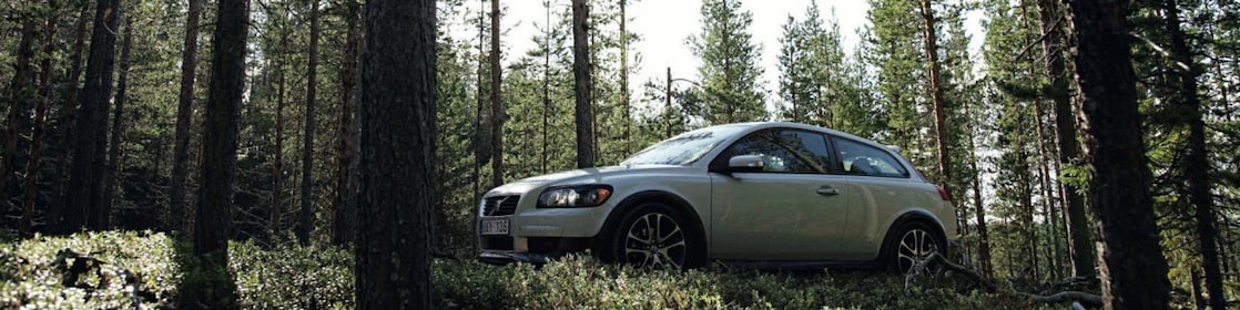 Voiture sur une route en forêt