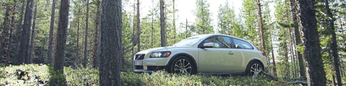 Voiture sur une route en forêt