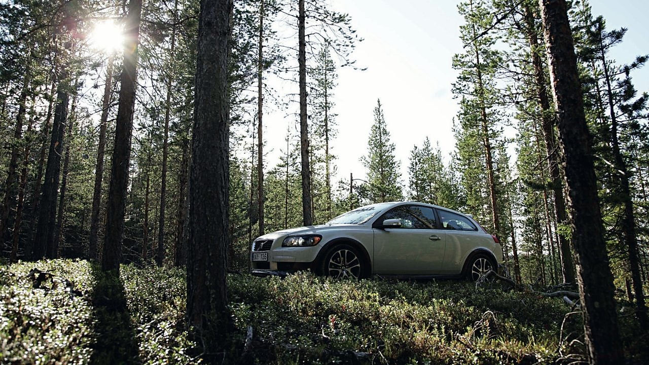 Voiture sur une route en forêt