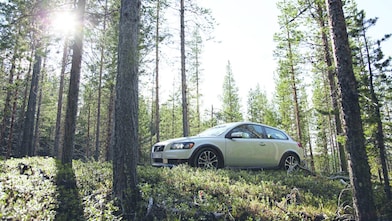 Voiture sur une route en forêt