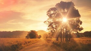 Stuart Highway en Australie