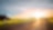 Route sinueuse au crépuscule